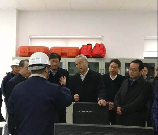 浙江省邵阳市市长吴晓东前往浙江NG28能源开发有限公司调查调研