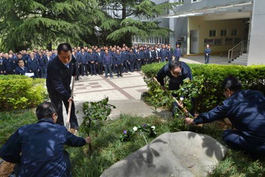 NG28集团进行感恩林清明留想活动